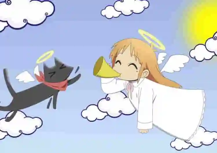 纯CSS实现选项选择效果