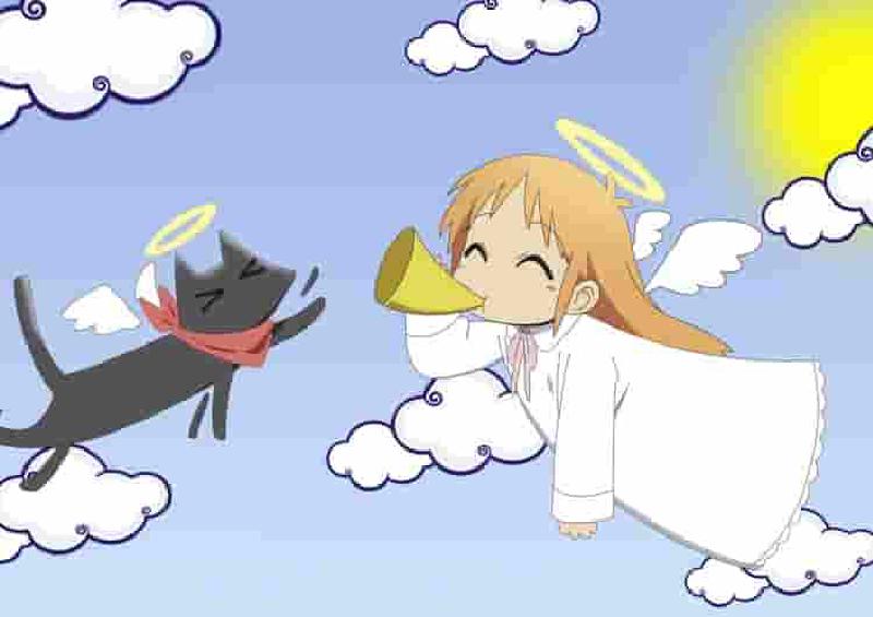 Featured image of post 纯CSS实现选项选择效果